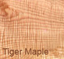 Tiger Maple